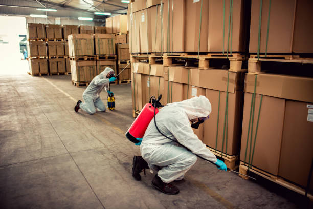 Best Cockroach Control Services  in Stanhope, NJ