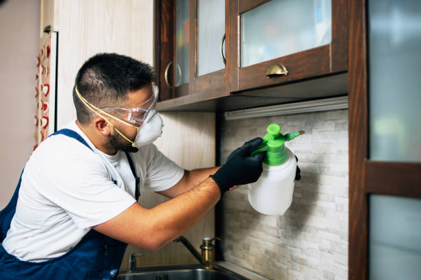 Best Residential Pest Control  in Stanhope, NJ