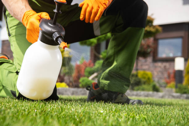 Best Pest Control for Businesses  in Stanhope, NJ