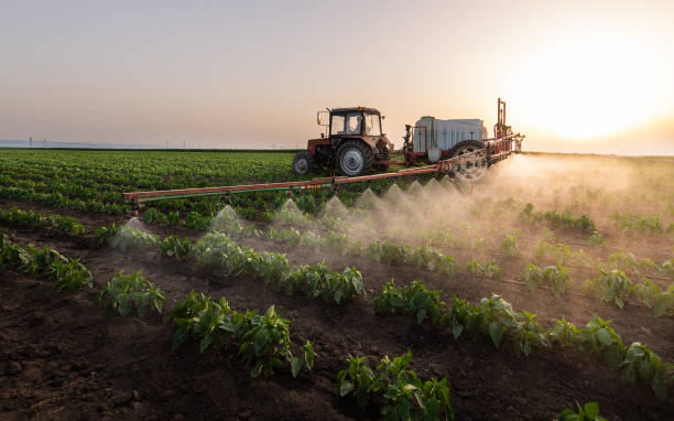 Best Mosquito Control Services  in Stanhope, NJ