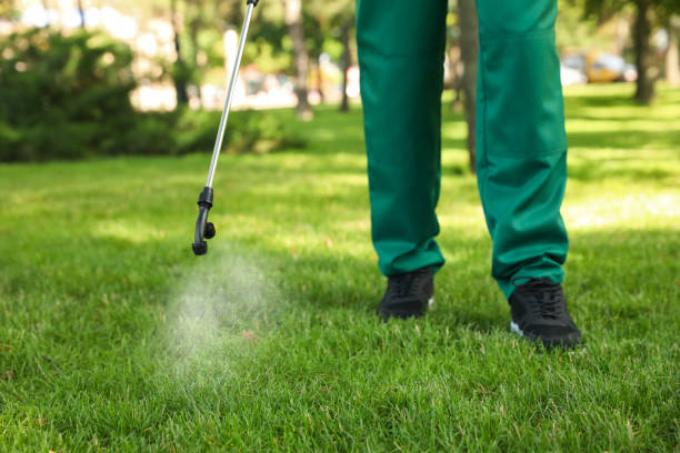 Best Flea Control Services  in Stanhope, NJ