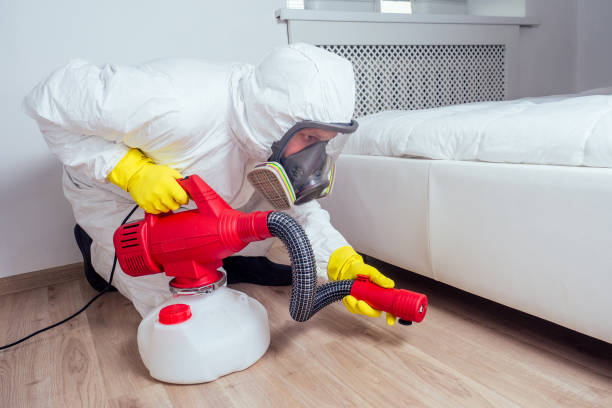 Best Pest Inspection Near Me  in Stanhope, NJ