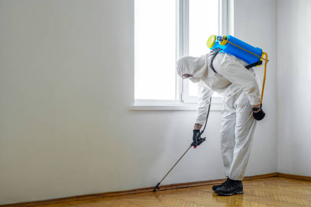 Best Emergency Pest Control  in Stanhope, NJ