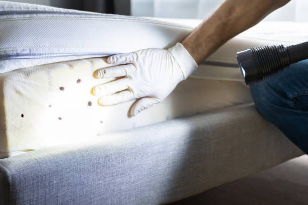 Best Affordable Pest Control Services  in Stanhope, NJ