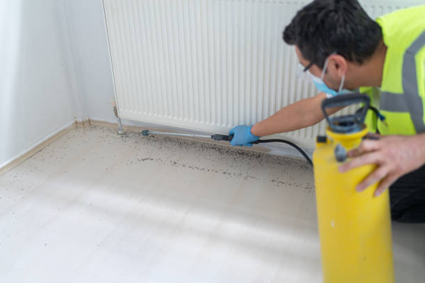Best Pest Prevention Services  in Stanhope, NJ