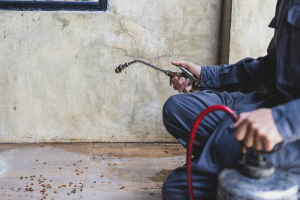 Best Best Pest Control Companies  in Stanhope, NJ